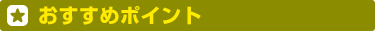 おすすめポイント